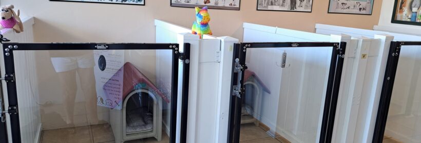 Yuppy Puppy Boarding